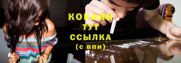 метадон Богданович