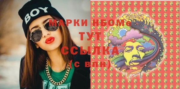 метадон Богданович
