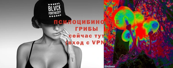 бутират Богородицк