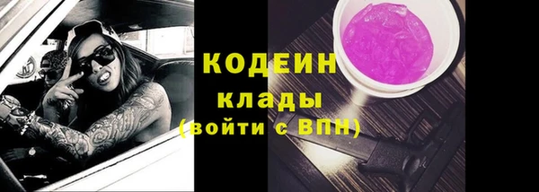 метадон Богданович