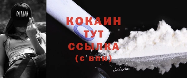 метадон Богданович