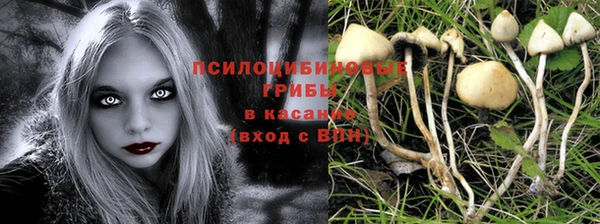 бутират Богородицк