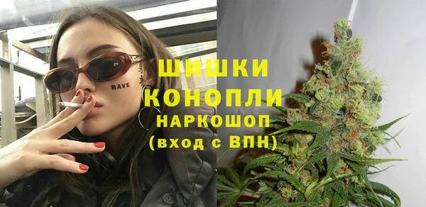 метадон Богданович