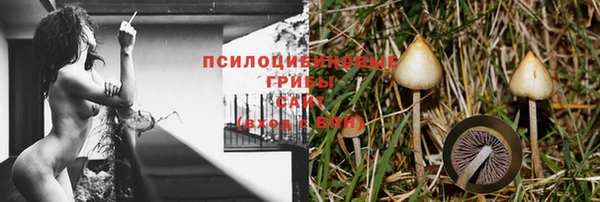 метадон Богданович